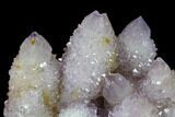 Cactus Quartz (Amethyst) Crystal Cluster - South Africa #132523-1